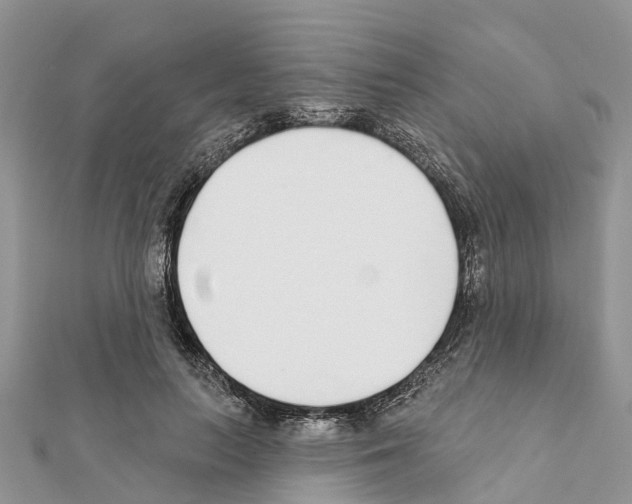 X0000111380647200908211341