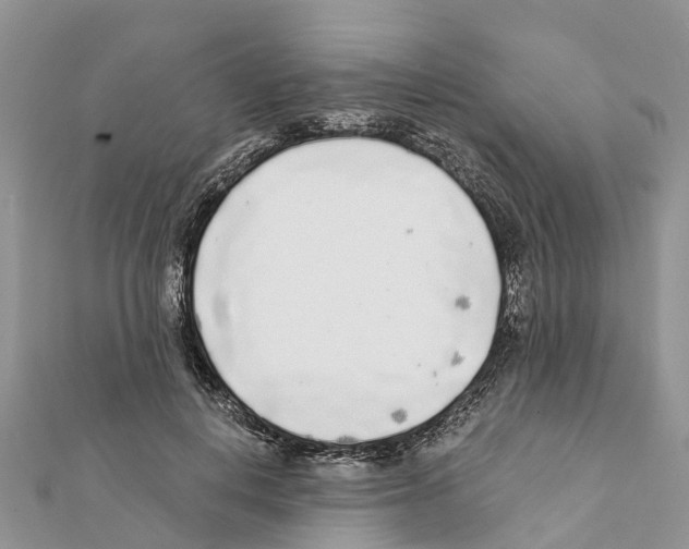 X0000111380648200908211341