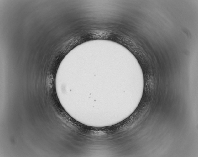 X0000111380649200908211341