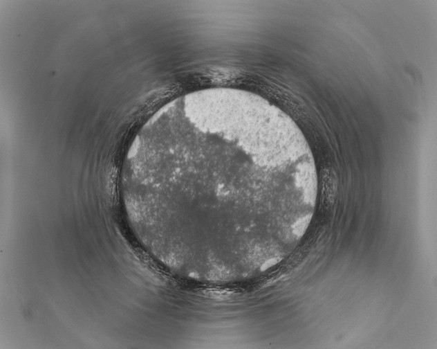 X0000111380650200908211341