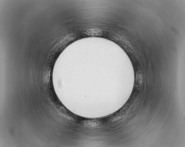 X0000111380652200908211341