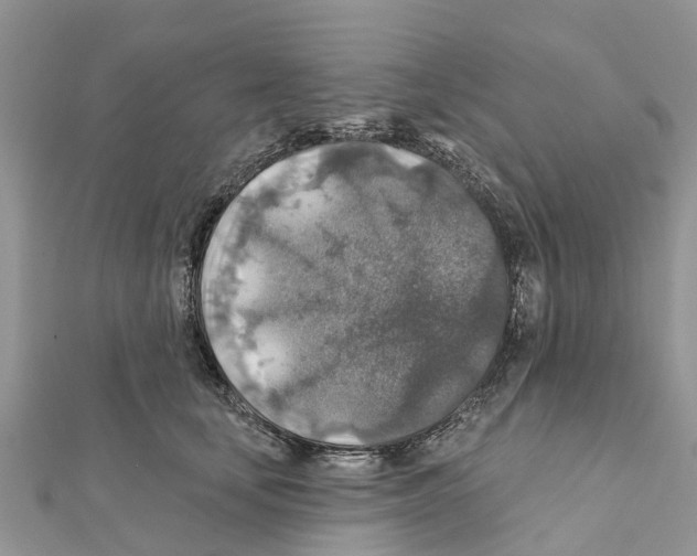 X0000111380659200908211341