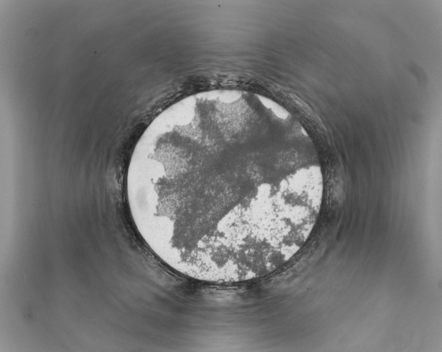 X0000111380661200908211341