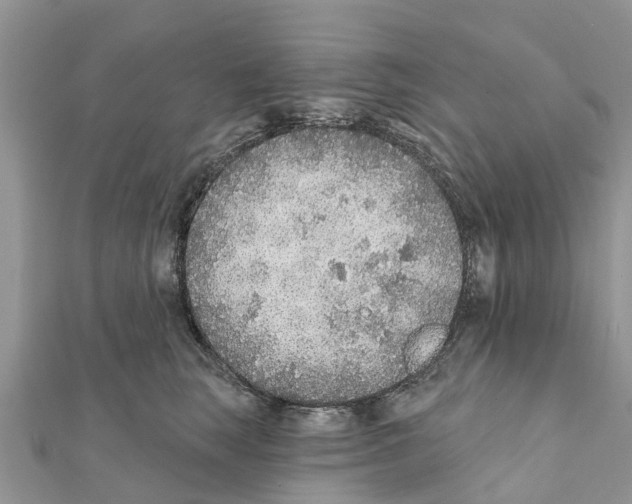 X0000111380663200908211341