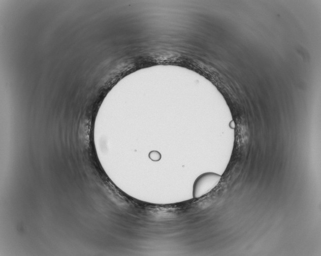 X0000111380664200908211341