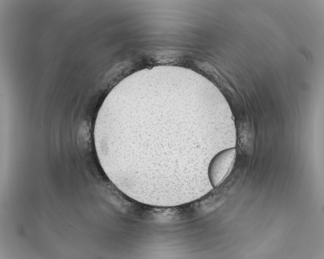 X0000111380667200908211341