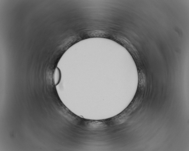 X0000111380669200908211341