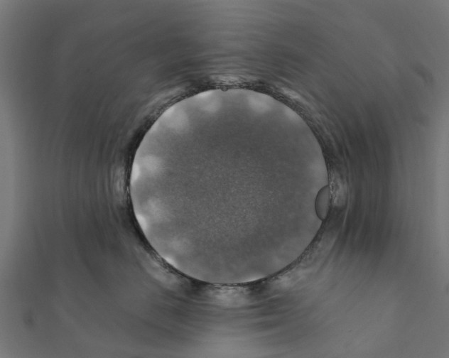 X0000111380670200908211341