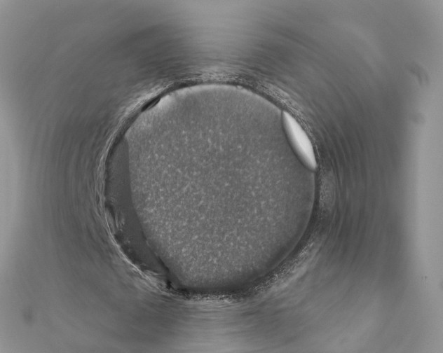 X0000111380673200908211340