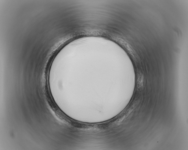 X0000111380674200908211340