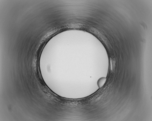 X0000111380675200908211340