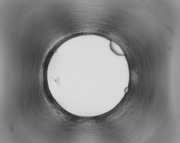 X0000111380676200908211340