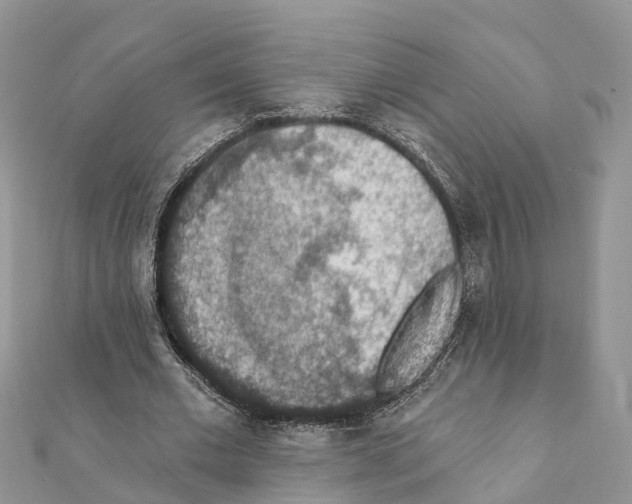 X0000111380677200908211340