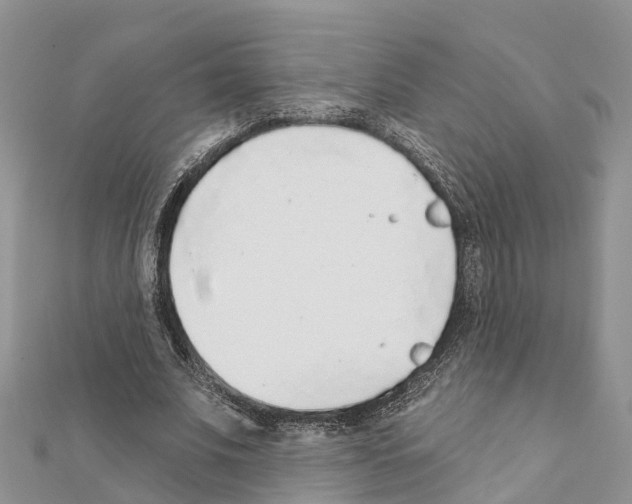 X0000111380679200908211340