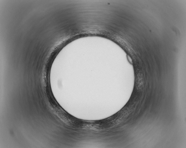 X0000111380680200908211340