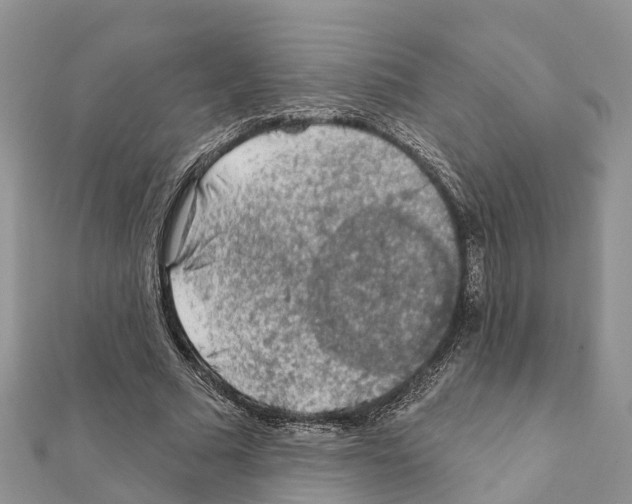 X0000111380681200908211340