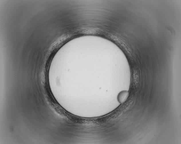 X0000111380682200908211340