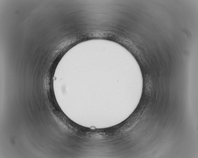 X0000111380683200908211340