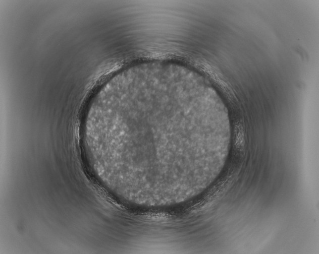 X0000111380685200908211340