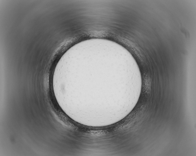 X0000111380686200908211340