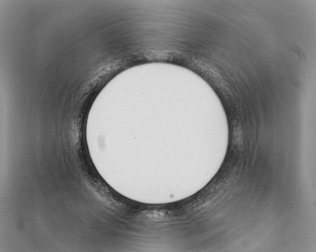 X0000111380687200908211340