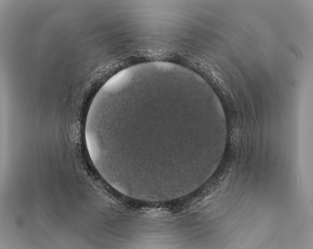 X0000111380689200908211340