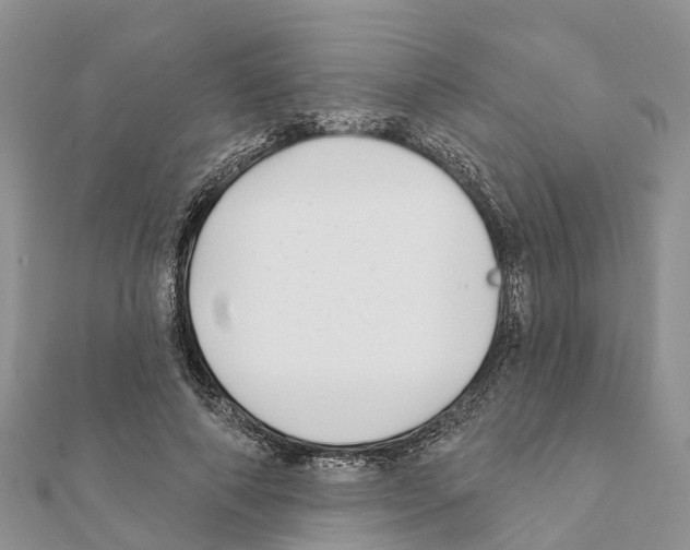 X0000111380690200908211340