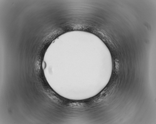 X0000111380691200908211340