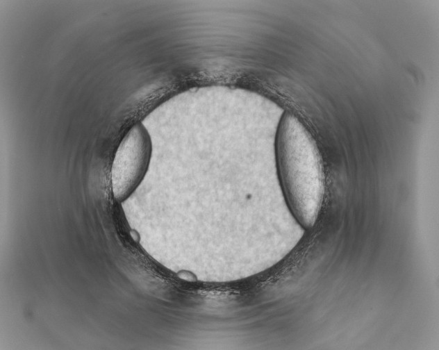 X0000111380693200908211340