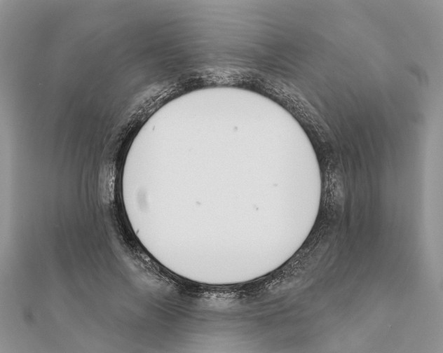 X0000111380694200908211340