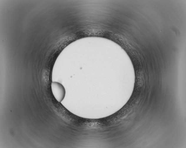 X0000111380695200908211340