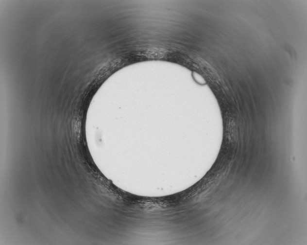 X0000111380697200908211340