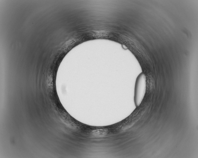 X0000111380700200908211340