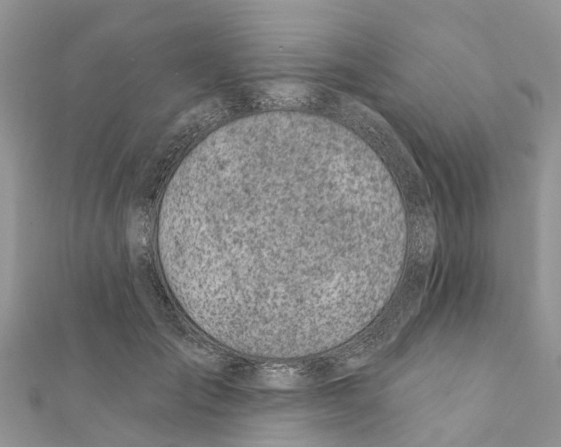 X0000111380701200908211340