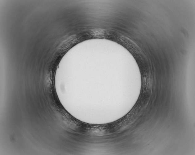 X0000111380702200908211340