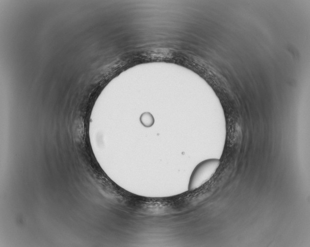 X0000111380704200908211340