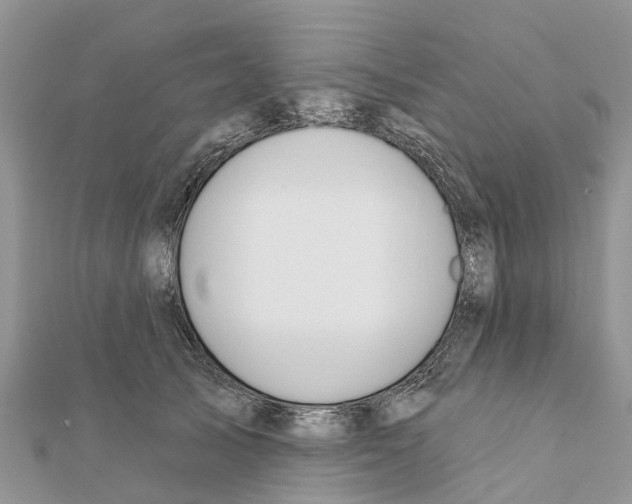 X0000111380705200908211340