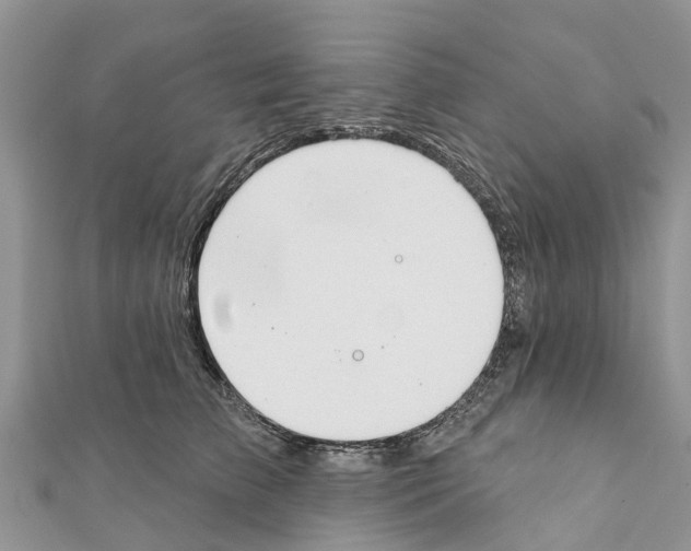 X0000111380709200908211340