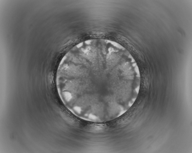 X0000111380711200908211340