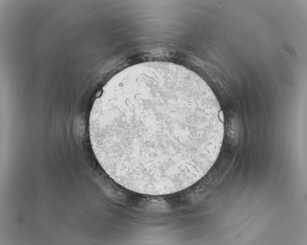 X0000111380715200908211340