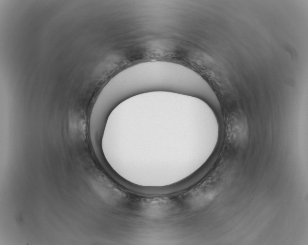 X0000111380716200908211340