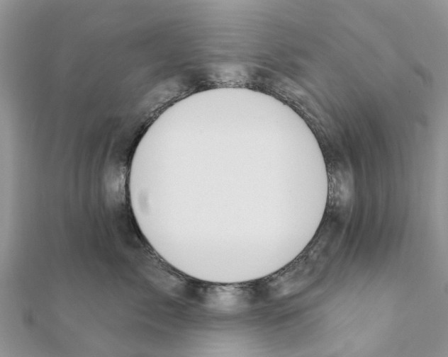 X0000111380717200908211340