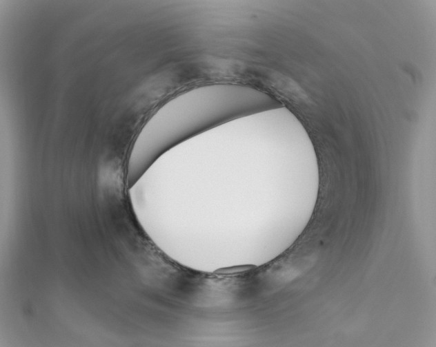 X0000111380720200908211340