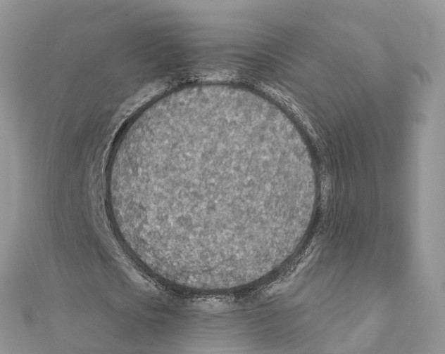 X0000111380721200908211339