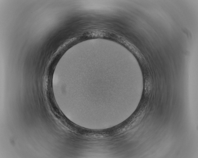 X0000111380722200908211339