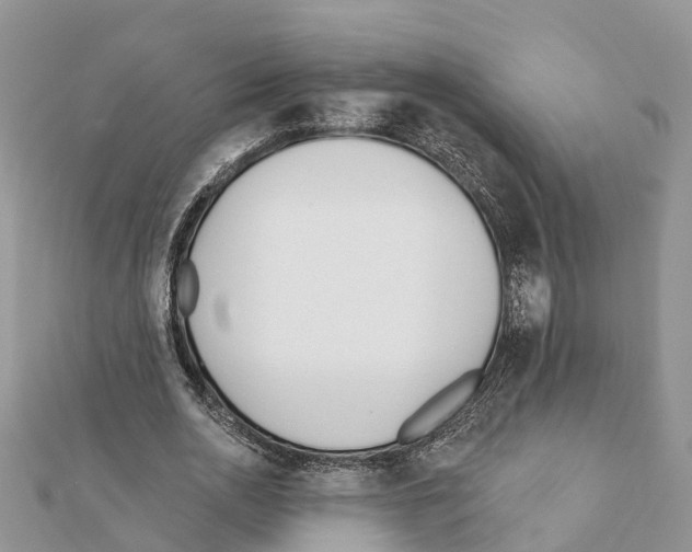 X0000111380726200908211339