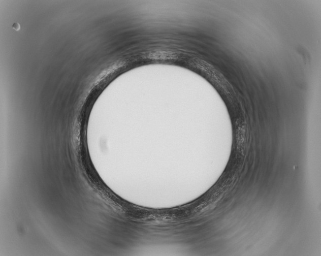 X0000111380727200908211339