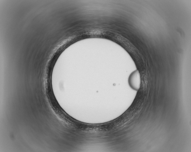 X0000111380728200908211339