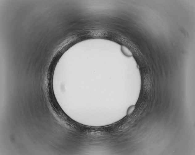 X0000111380730200908211339