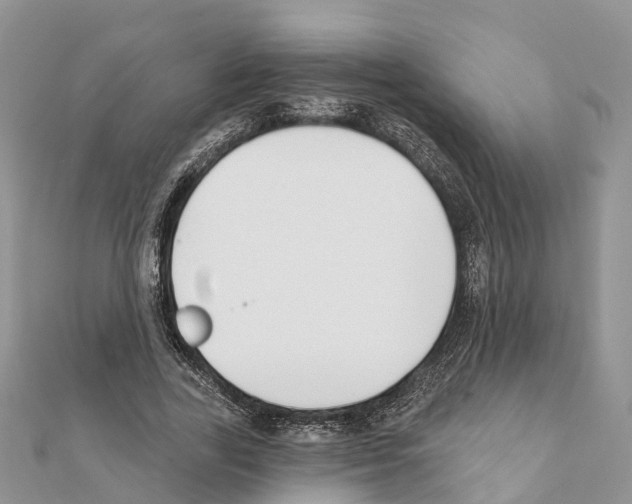 X0000111380731200908211339